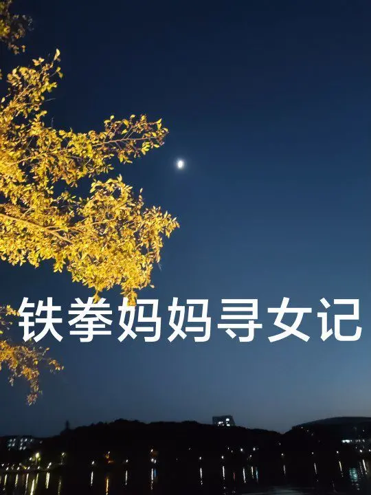 泪目！《铁拳妈妈寻女记》：一位母亲的救赎之路，震撼人心的亲情史诗