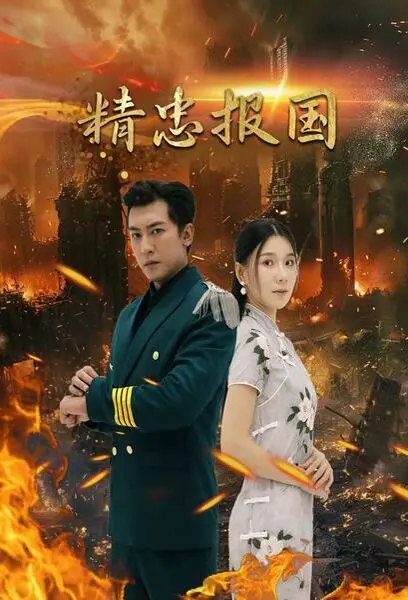 《精忠报国》影评：热血丹心，岳飞传奇，历史英雄的现代解读与思考