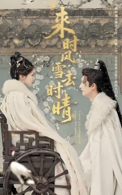 《来时风雪去时晴》：冰雪中的爱情与救赎，治愈你的冬日！