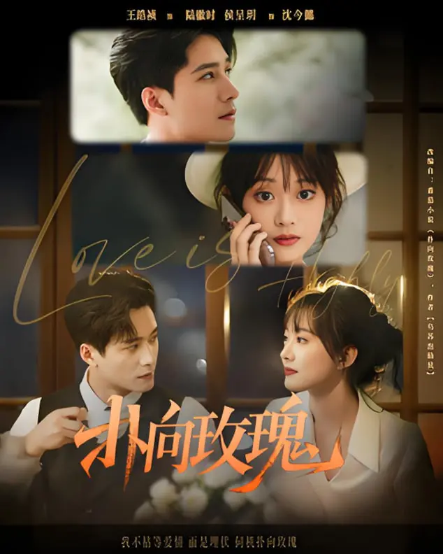 《扑向玫瑰》：一段关于爱与失去的揪心告白，真实得让人心碎的青春写真